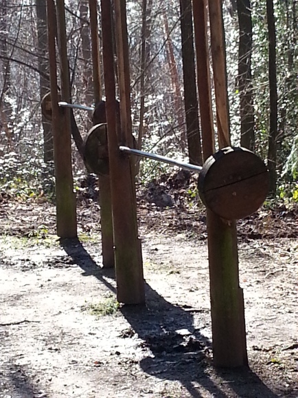 Hanteln Waldsportpfad März 2014